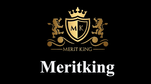 Meritking logo